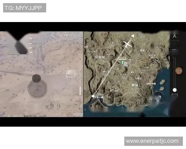 esports数据深度探讨赵磊在和平精英中的成长与人生哲学之旅